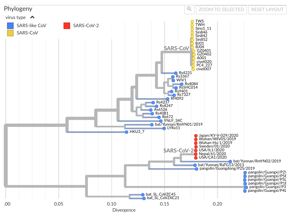 Phylogenetic tree of the SARS-CoV-like virusses of which the RNA sequences are known